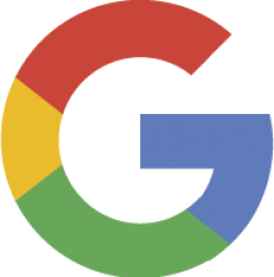 icon google